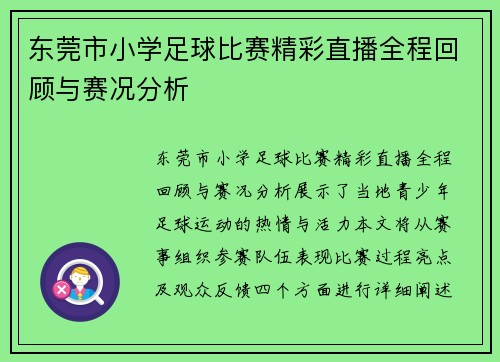东莞市小学足球比赛精彩直播全程回顾与赛况分析